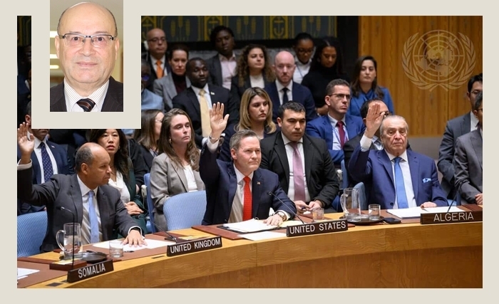 محمد إبراهيم الحصايري: في خطورة قرار مجلس الأمن رقم 2803