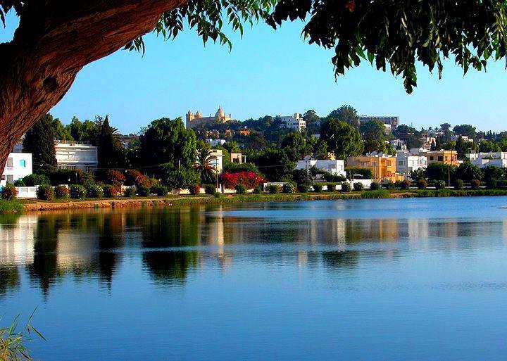 مساء الخير، – طقس مغيم جزئيا بأغلب المناطق مع ظهور ضباب محليا كثيف بالشمال وبالمناطق الشرقية للوسط والجنوب آخر الليل. -…