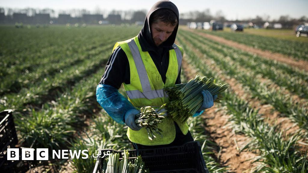 “ترامب يريد تفكيك أوروبا إلى 27 كياناً منفصلاً وضعيفاً” – مقال في لوموند