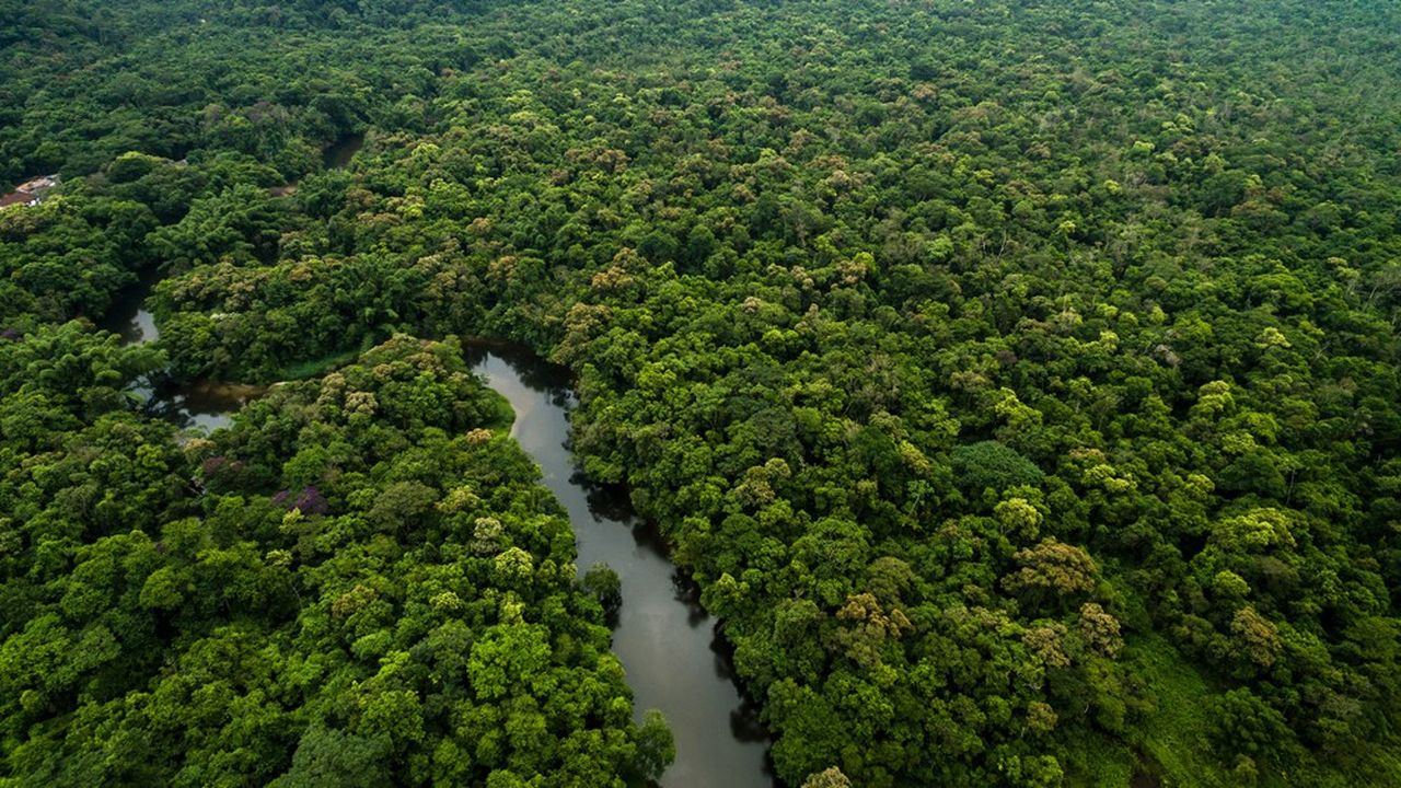 Le Ghana met un terme à l’exploitation minière dans ses forêts