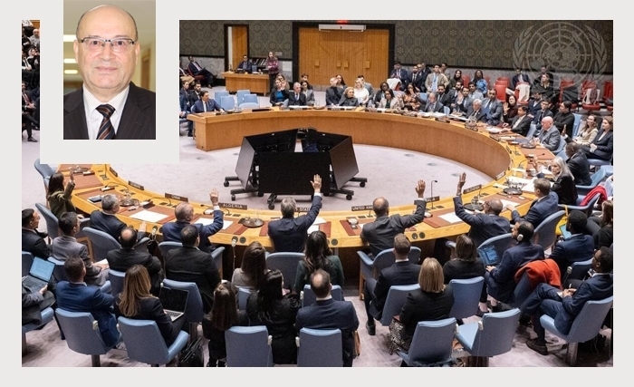 محمد ابراهيم الحصايري: قراءة في قرار مجلس الأمن رقم 2803