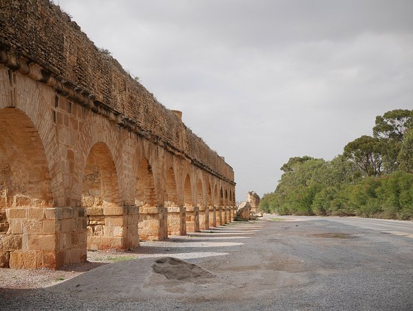 يشهد طقس اليوم صباحًا سحبًا كثيفة في معظم الأنحاء، مع هطول أمطار متفرقة ورعدية بشكل مؤقت في المناطق الشرقية والجنوبية. ثم تتلاشى هذه السحب تدريجيًا مع مرور الوقت.