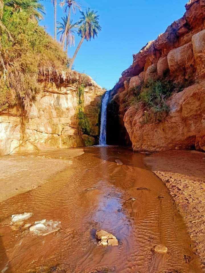 مساء الخير. تشهد مناطق الشمال الأقصى أجواءً غالباً ما تكون ملبدة بالغيوم مع هطول أمطار متفرقة، بينما تسود بقية المناطق سحب عابرة وظروف جوية متقلبة.
