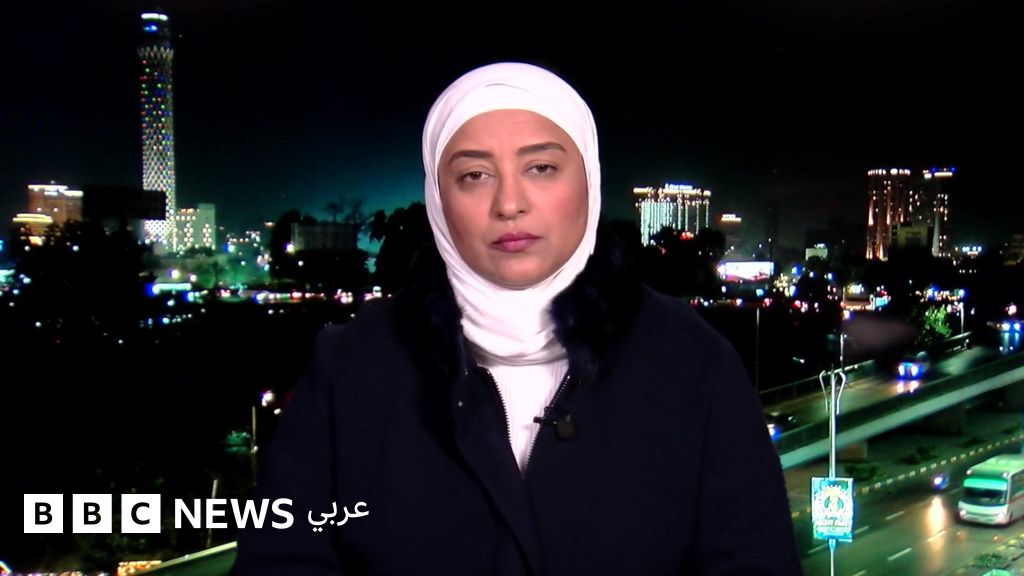 في تحليل لـ “بلا قيود”، تُصوَّر أميرة أبو شُقة كمعارضة لا تطرح حلولًا عملية، بل تُنظر إليها على أنها تمارس معارضة ذات طابع هدّام.