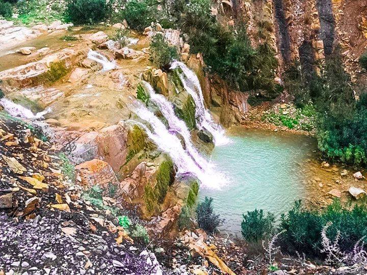 طقس اليوم: بداية اليوم ضباب محلي يتبعها طقس مغيم جزئياً في أغلب المناطق. تتزايد كثافة السحب خلال الليل في أقصى شمال البلاد مع توقعات بهطول الأمطار.