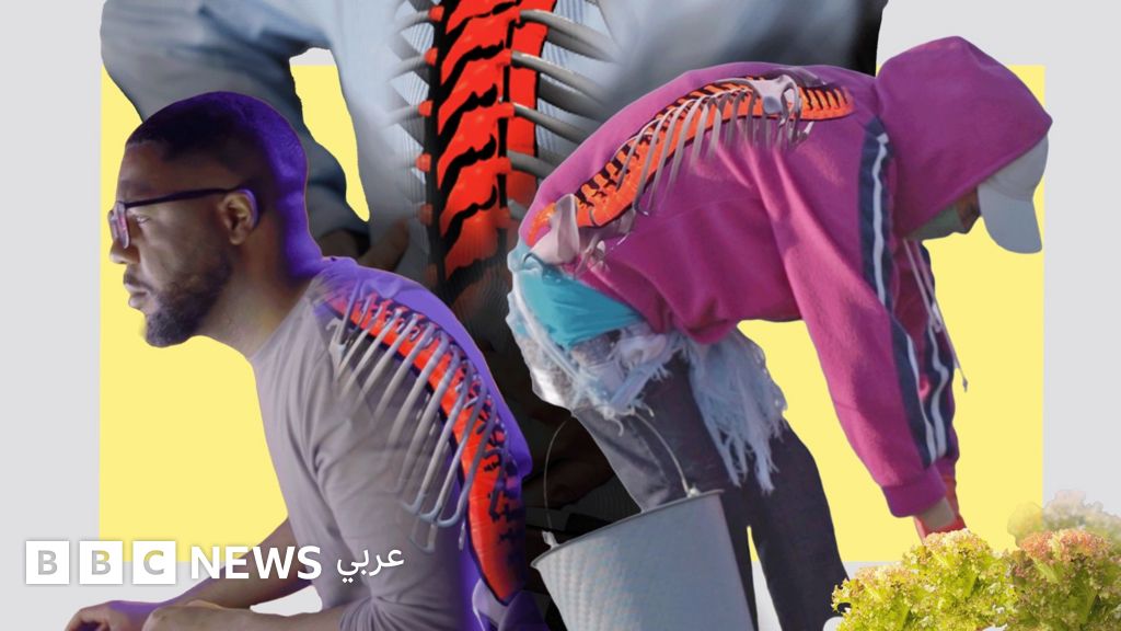 لتجنب آلام الظهر واستعادة القدرة على الحركة، إليك خمس قواعد أساسية بسيطة: اتبع هذه النصائح للوقاية من الألم وتحسين مرونة الظهر، مما يساعدك على الاستمتاع بحياة أكثر نشاطًا وراحة. لتجنب آلام الظهر واستعادة القدرة على الحركة، إليك خمس قواعد أساسية بسيطة: اتبع هذه النصائح للوقاية من الألم وتحسين مرونة الظهر، مما يساعدك على الاستمتاع بحياة أكثر نشاطًا وراحة.