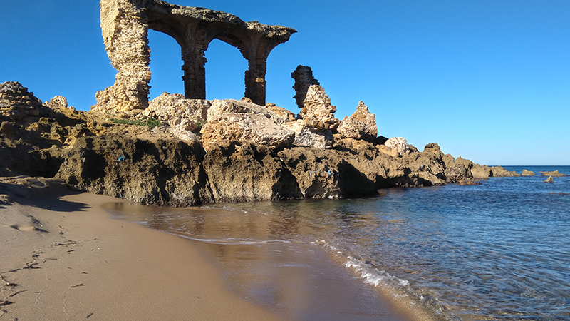 مساء الخير، تشهد المناطق الساحلية الشمالية طقسا متقلبا يتسم بسحب كثيفة وأمطار رعدية متقطعة، بينما تسود سحب عابرة في بقية أنحاء البلاد مع…