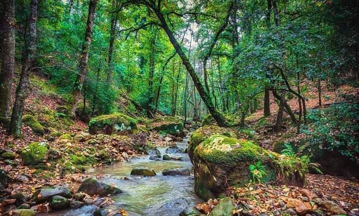 مساء الخير، يسود طقس غائم جزئياً في كافة أنحاء البلاد. تهب الرياح من القطاع الجنوبي وتكون قوية نسبياً إلى قوية بالقرب من السواحل الشرقية، بينما تكون ضعيفة في مناطق أخرى. مساء الخير، يسود طقس غائم جزئياً في كافة أنحاء البلاد. تهب الرياح من القطاع الجنوبي وتكون قوية نسبياً إلى قوية بالقرب من السواحل الشرقية، بينما تكون ضعيفة في مناطق أخرى.