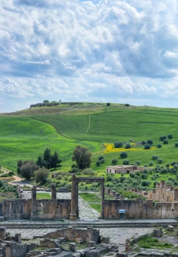 يشهد الطقس صباح اليوم غيوما جزئية تتحول إلى كثيفة في أقصى الشمال الغربي، مصحوبة بأمطار خفيفة، على أن تمتد هذه الأمطار خلال الليل لتشمل مناطق الجنوب الغربي. يشهد الطقس صباح اليوم غيوما جزئية تتحول إلى كثيفة في أقصى الشمال الغربي، مصحوبة بأمطار خفيفة، على أن تمتد هذه الأمطار خلال الليل لتشمل مناطق الجنوب الغربي.