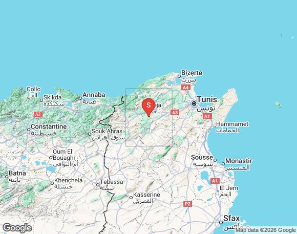 أفادت بيانات صادرة عن محطات رصد الزلازل التابعة للمعهد الوطني للرصد الجوي، بتسجيل هزة أرضية ظهر اليوم الاثنين الموافق لـ 05 جانفي 2026، وذلك في تمام الساعة الثانية و24 دقيقة بعد الظهر. أفادت بيانات صادرة عن محطات رصد الزلازل التابعة للمعهد الوطني للرصد الجوي، بتسجيل هزة أرضية ظهر اليوم الاثنين الموافق لـ 05 جانفي 2026، وذلك في تمام الساعة الثانية و24 دقيقة بعد الظهر.