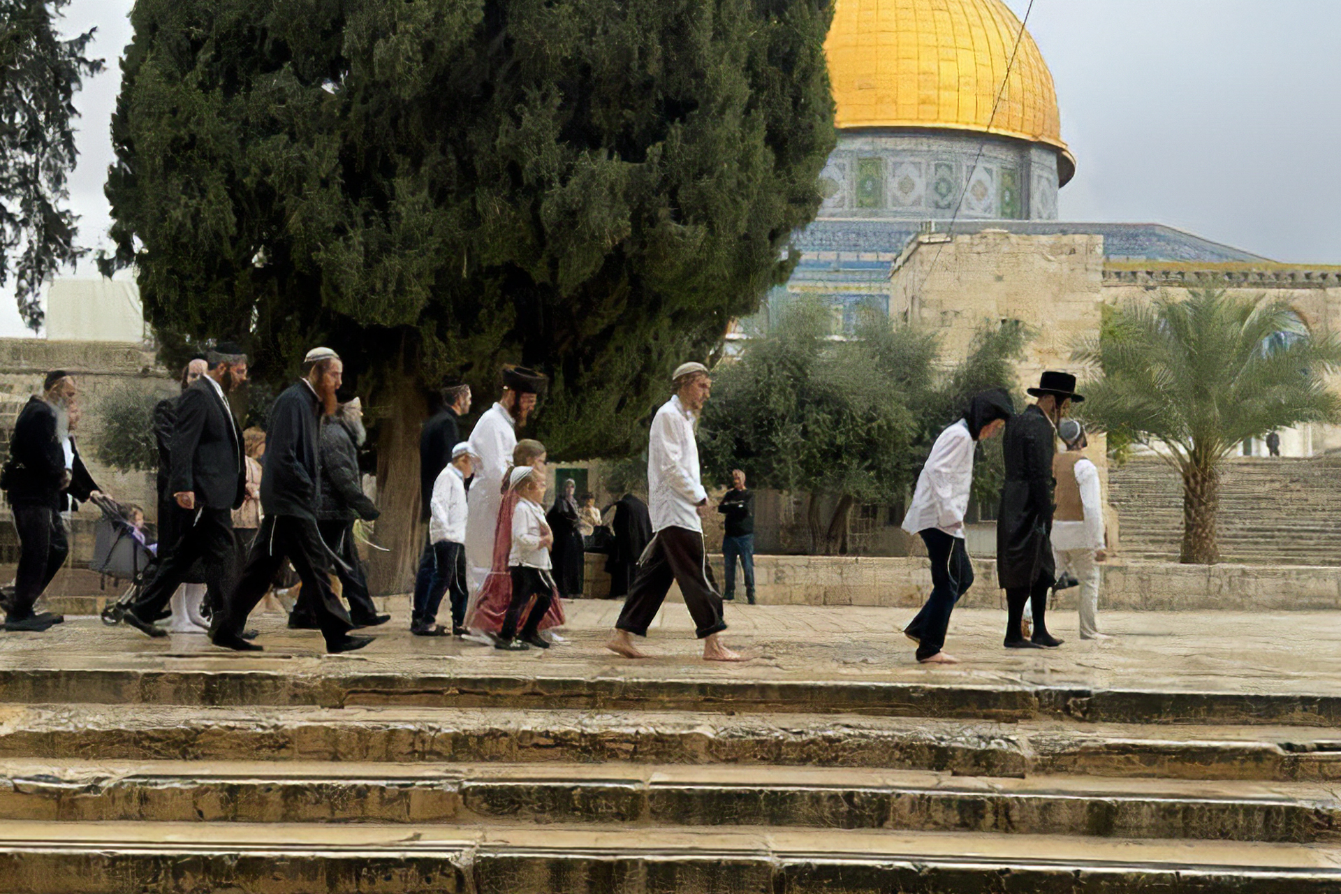 اقتحام الأقصى وتهجير 13 تجمعاً بدوياً بالضفة