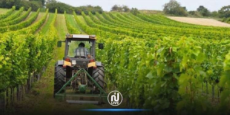 وكالة النهوض بالاستثمارات الفلاحية: 5 مشاركات دولية في 2026