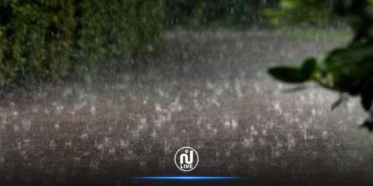 كميات الأمطار خلال الـ24 ساعة الماضية